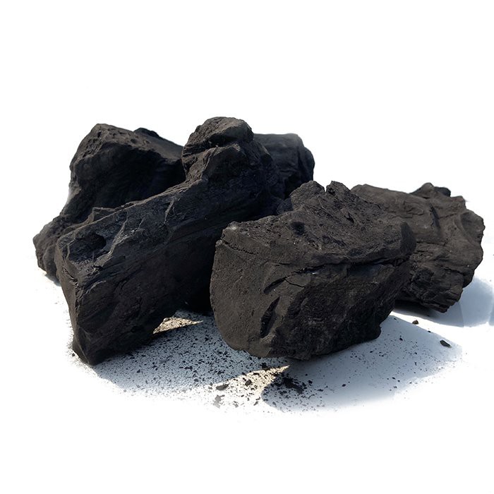 Bwa pou Charcoal